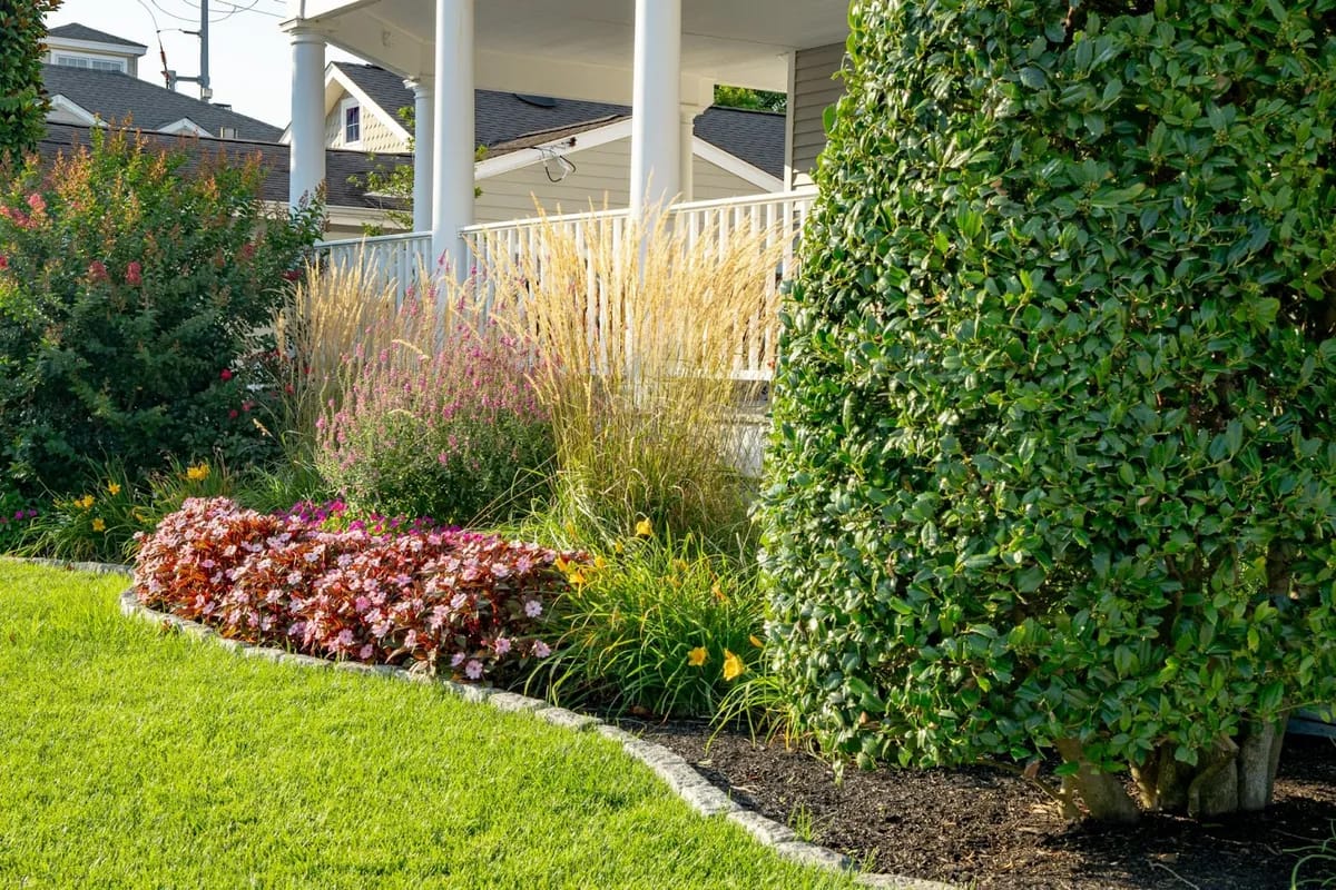 Professional Landscaping Design & Installation in Cape May County